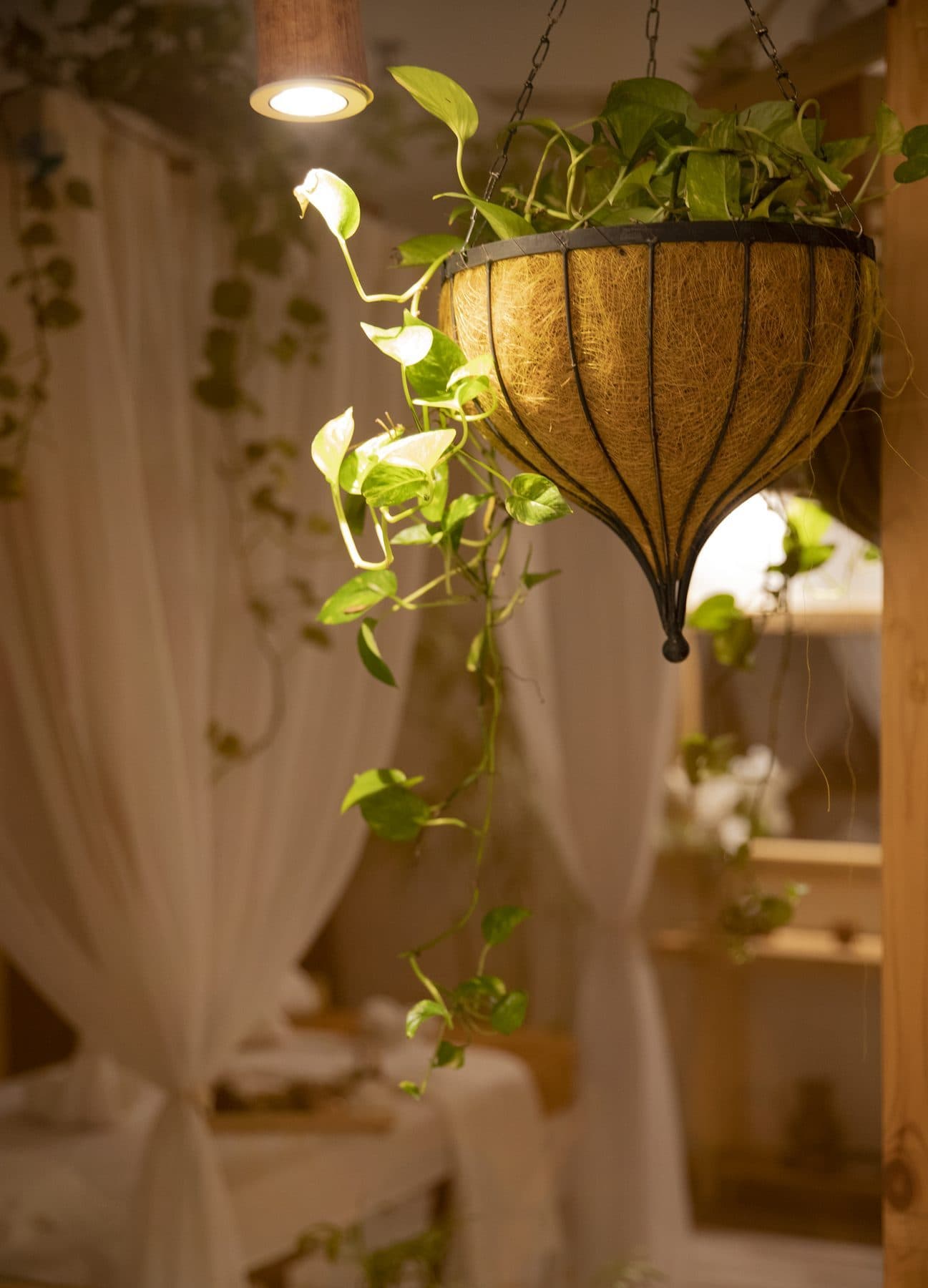 Luxe Spa